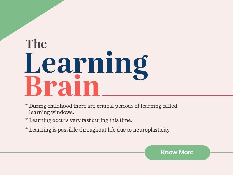 webinar for Recording of Learning Brain Workshop