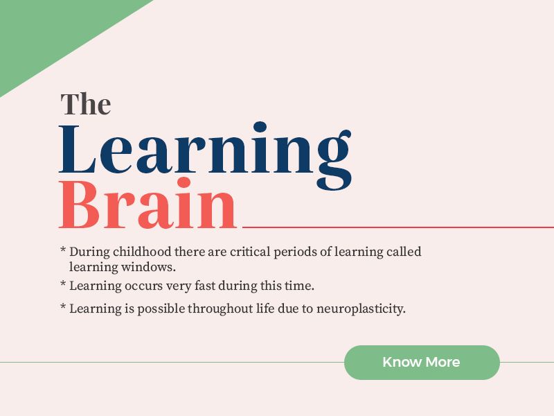 The Learning Brain