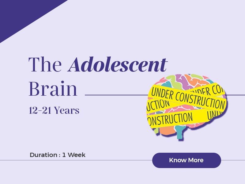 Course for The Growing Teen's Brain 12-21yrs