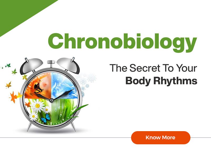 webinar for The Secret to Your Body Rhythms