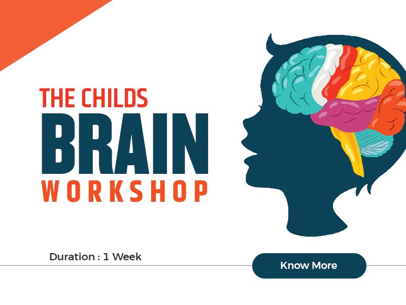 The Child’s brain workshop